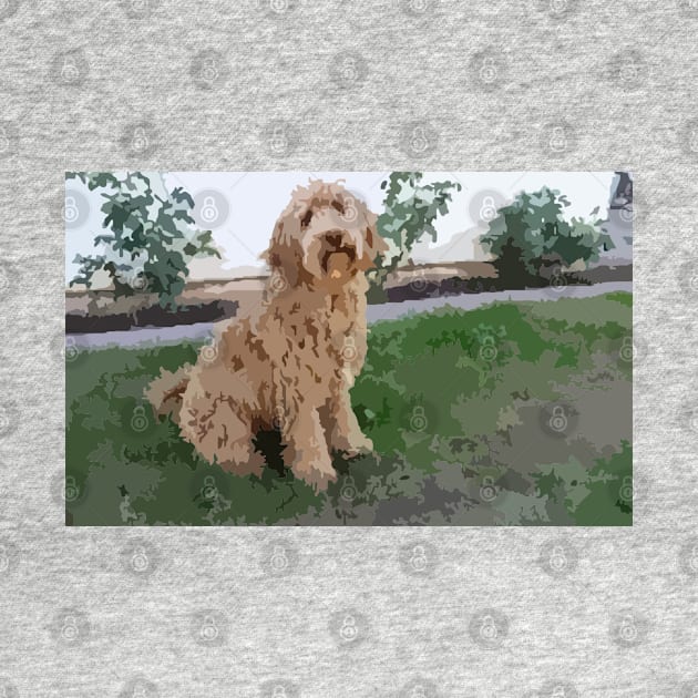 Labradoodle Digital Painting by gktb